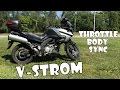 V-Strom Throttle Body Sync
