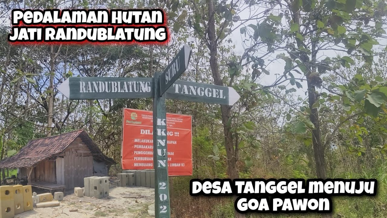 Desa Tanggel Terpencil Di Pedalaman Hutan Menuju Goa Pawon Randublatung Blora Selatan Part 01