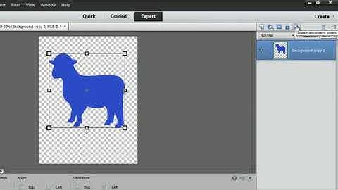 How to Fill a Shape Gradient in Photoshop Elements