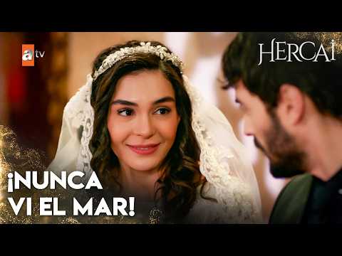 Will you show me the sea?🌊| Special Scenes