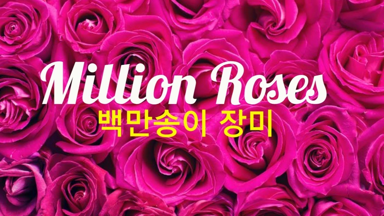 Million Roses (Russian song) 백만송이장미 YouTube