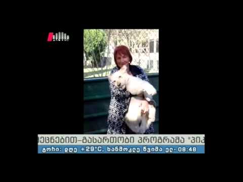 \"პიკის საათი\" 16.06.15 გულიკო ჭიტაძე - \"პიკის საათის\" არქივი