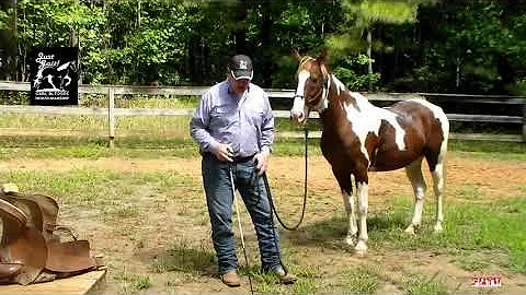 Carl Bledsoe Evaluating a Trail Horse Full Show