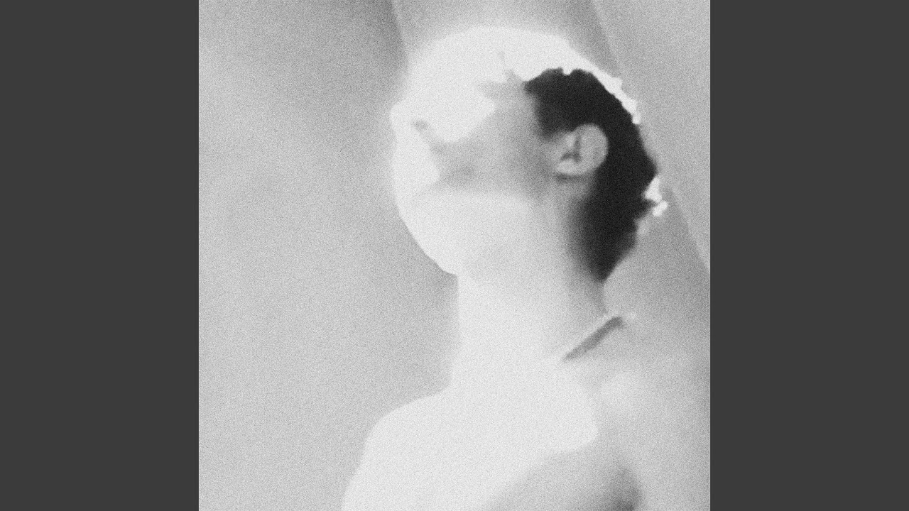 Watch ZU DEN HUNDEN on YouTube Watch ZU DEN HUNDEN on YouTube