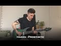 Haken - Prosthetic (Guitar Cover + Solo)