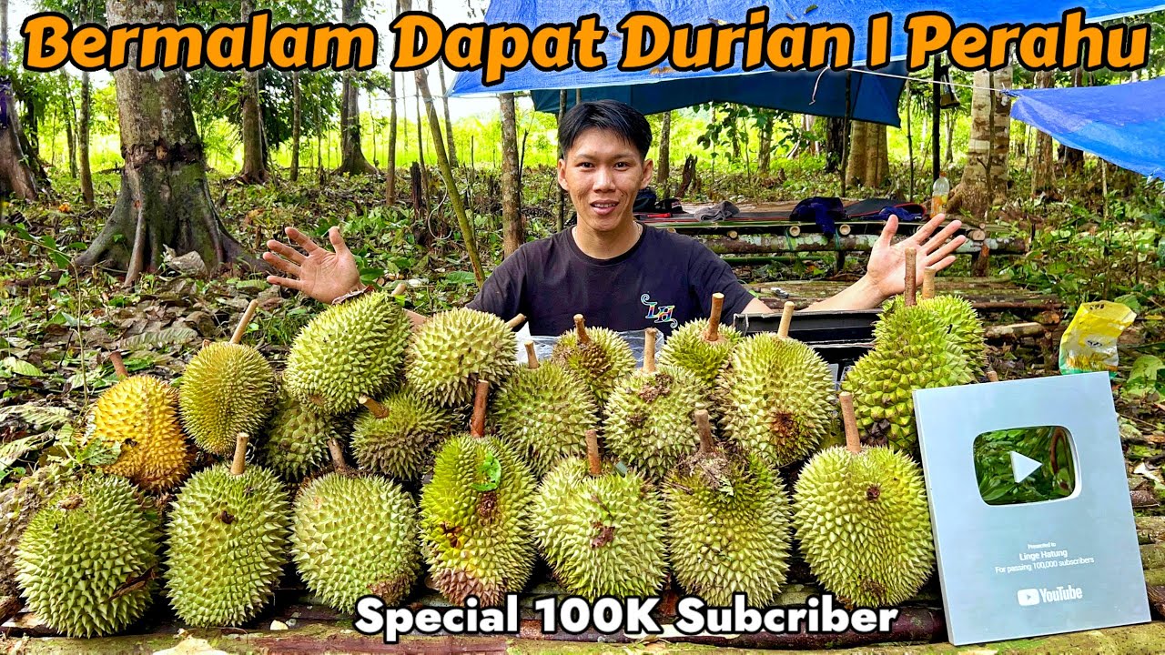 BERMALAM SENDIRIAN JAGA DURIAN HUJAN DERAS ANGIN BADAI DAPAT HASIL 1 PERAHU