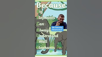 How To Teach The Spelling Because