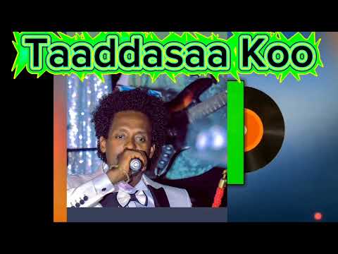 Bilisummaa Raggaasaa Fii Dajanee Jaalataa Taaddasaa Koo Sinyaatte Biyyeenii 1995