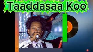 Bilisummaa Raggaasaa fii Dajanee Jaalataa Taaddasaa koo Sinyaatte Biyyeenii 1995