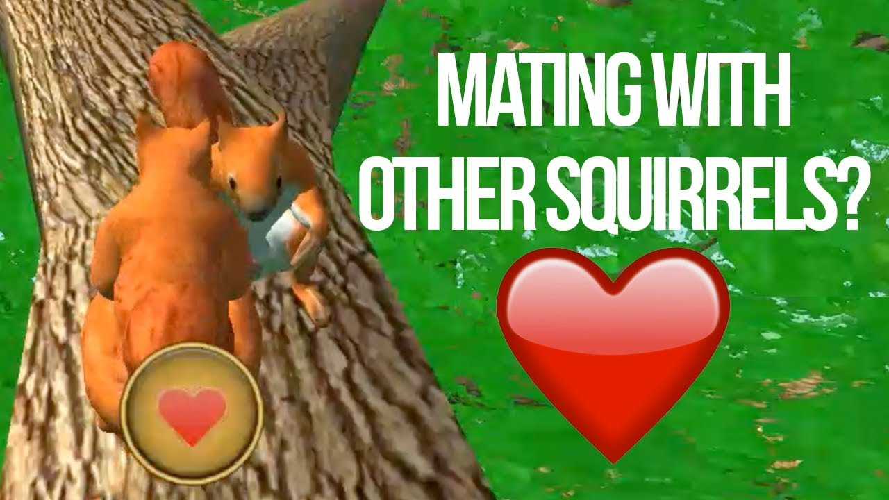 MATING WITH OTHER SQUIRRELS & MAKING BABIES - Squirrel Simulator ...