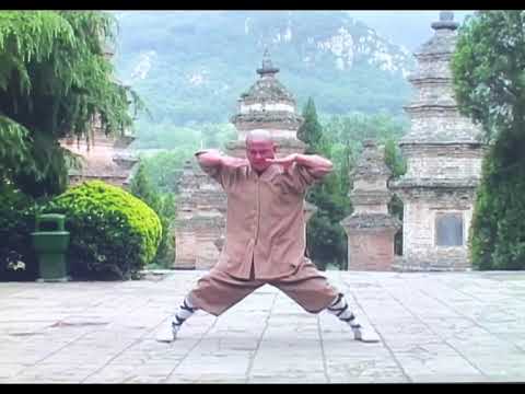 Shaolin Nan Quan