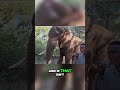 Elephants | Nature's Wreckers or Ecosystem Engineers #elephant #nature #shorts
