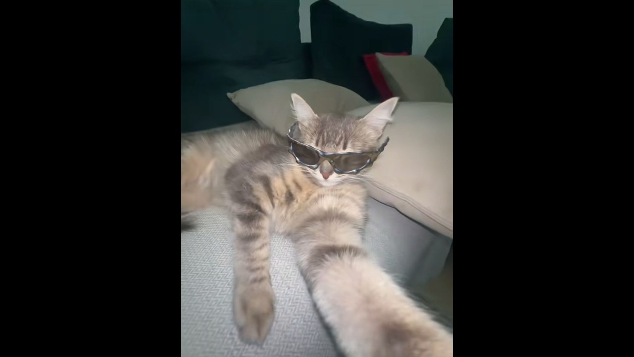 [Slax] comeback 1312