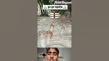 Mahadev status bholenath status mahakal status #funny #status #mahadev #shivashiva