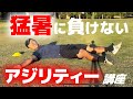 マーカー2枚でできる簡単アジリティトレーニング！！