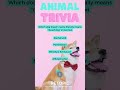  ultimate animal trivia  can you guess em all  shorts