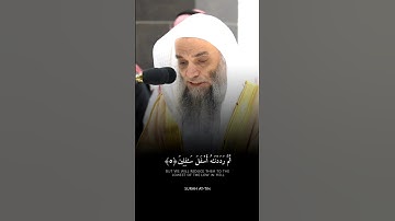 فضيلة الشيخ أ.د. فيصل غزاوي || لقد خلقنا الإنسان في أحسن تقويم || سورة التين