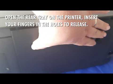 Clear Error 034004 Epson Printer