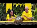 Cake Made Of BUGS?! | Gross Eating Challenge #ImACelebrityAU