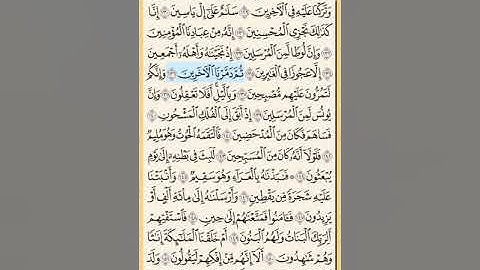 القرآن الكريم سورة الصافات من الايه الكريمه 77 إلى الآية الكريمة 182 والأخيرة محمد ايوب