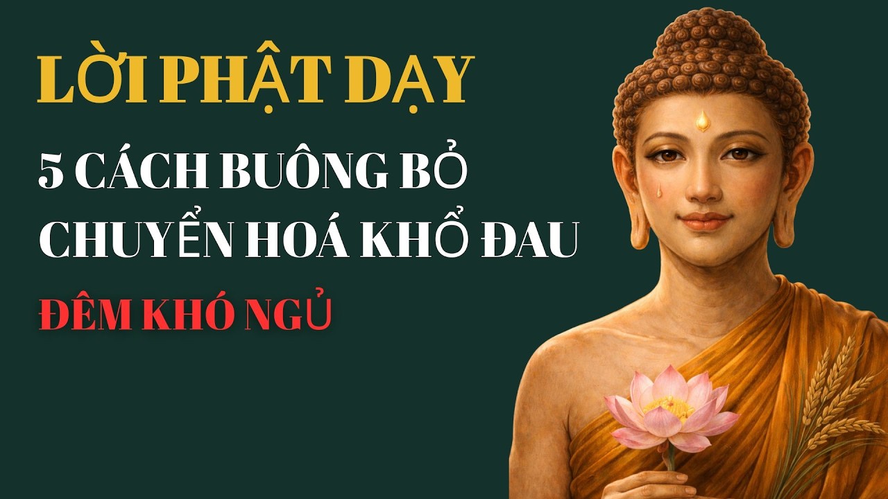 ĐÊM KHÓ NGỦ: 5 CÁCH BUÔNG BỎ CHUYỂN HOÁ KHỔ ĐAU - LỜI PHẬT DẠY