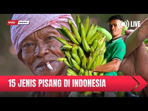 Nama Pohon Pisang