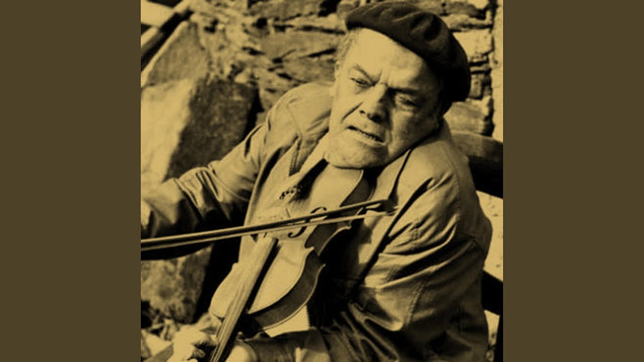 O Testamento Do Gato