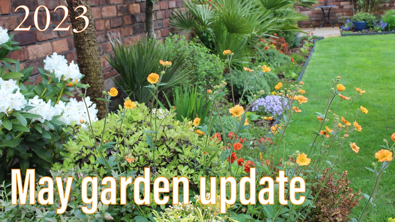 May garden tour Spring update UK in My walled garden 2023 flowers & shrubs