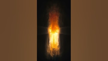 Black Hole with a massive Accretion Disc