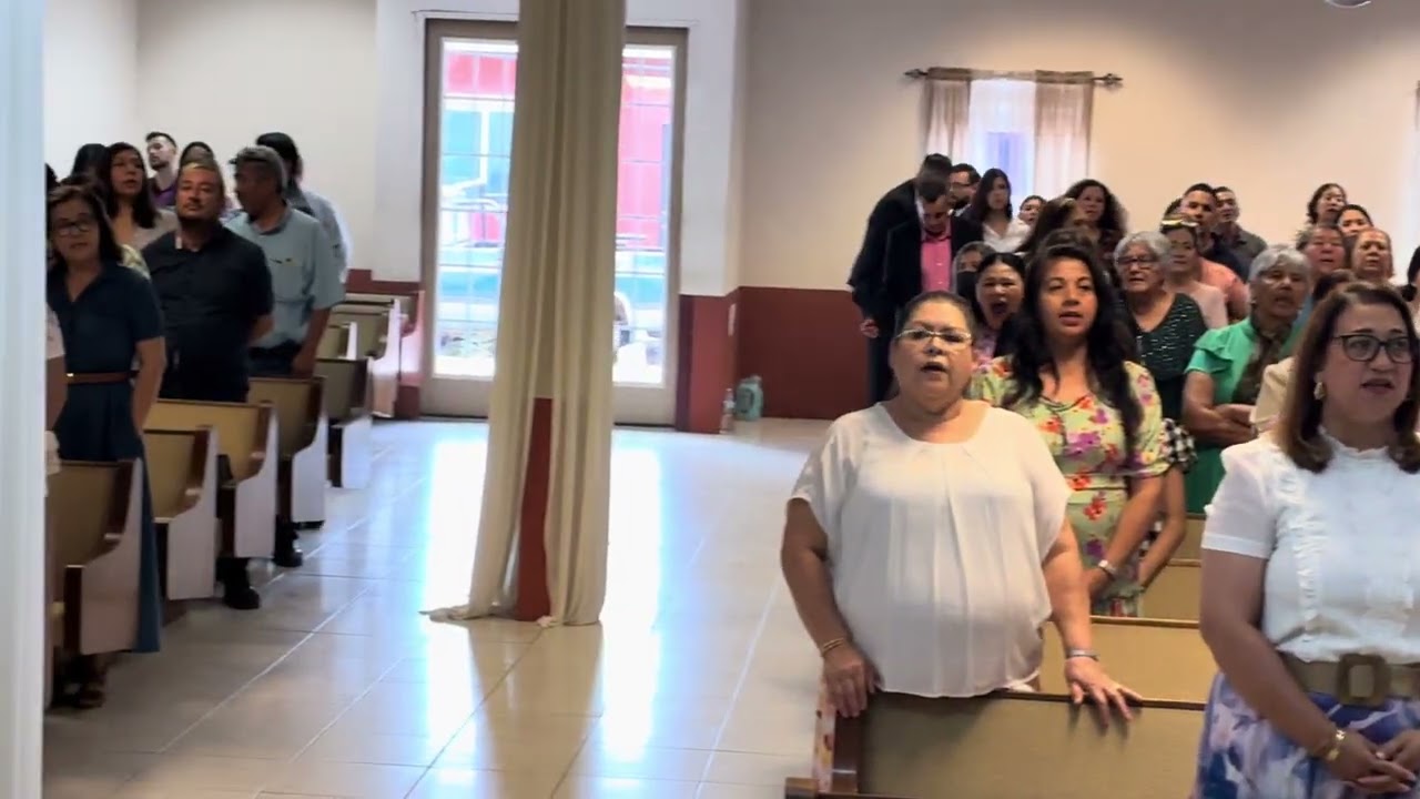 Domingo 08 de Marzo de 2026✔️