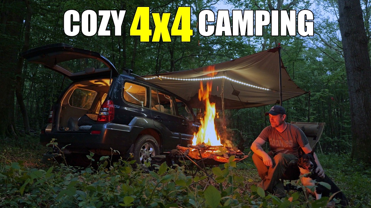Camping Out Of My 4x4 In The Forest / Car Camp Tarp Setup / Camp Fire Food