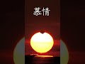 慕情…
