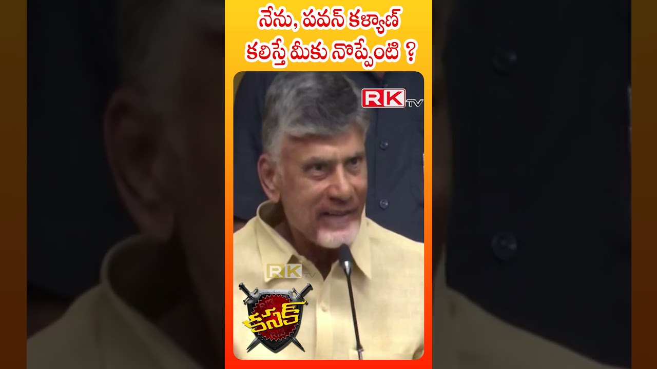 Tdp Leader Nara Chandrababu Naidu Key Comments On Ycp Leaders