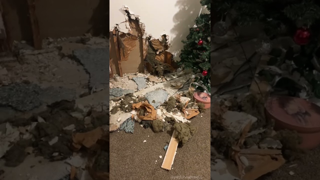 “Caught in the act!”