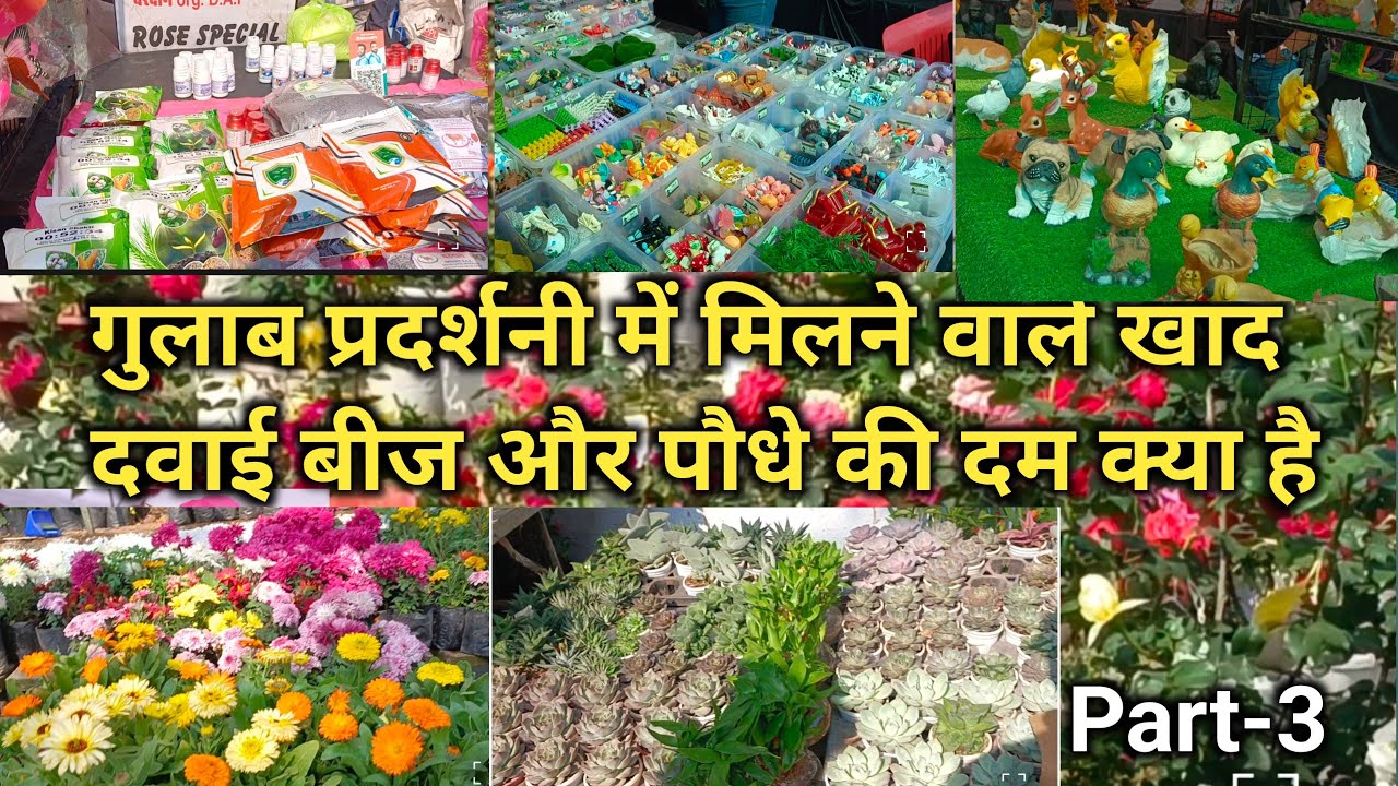 गुलाब प्रदर्शनी में मिलने वाले खाद, दवाई, बीज और कौन से पौधे इस समय मिल रहा है और उसकी कीमत‌ क्या है
