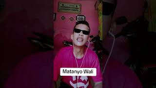 Wali band Matanyo