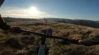 Henry Coe MTB | Cattle Duster to Grapevine DH