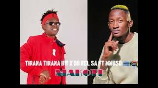 TINANA TINANA BW X DR NEL ft MMUSO