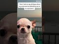 #siblingmemes #funny #memes