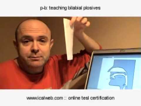 p b teaching bilabial plosives