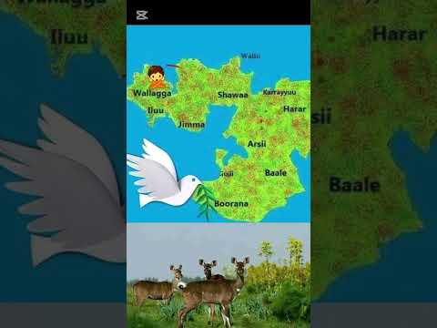 Dhugaa Dubataa Gootaa Oromoo