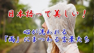 日本語って美しい！心が洗われる「雨」にまつわる言葉たち