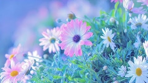 بلبل القرّاء الشيخ محمد رفعت رحمه الله \ما تيسر من سوره التوبه