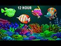 Sleep Instantly Within 3 Minutes 🧠 Mozart &amp; Brahms Lullaby 👶 Baby Sleep Music #347