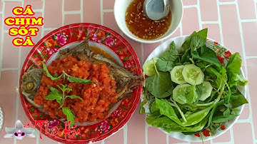 Cách Làm Cá Chim Biển Sốt Cà Chua Món Ăn Quê Dễ Làm Mà Ngon Miệng | Trần Thiện Hóa