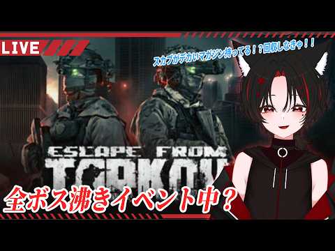 [タルコフPVE]イベントないけどタスク適当にする！