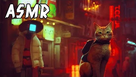 ASMR With Kitty Cats | Let