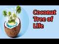 Coconut uses from the waste coconut waste management coconut waste product recycling tree of life