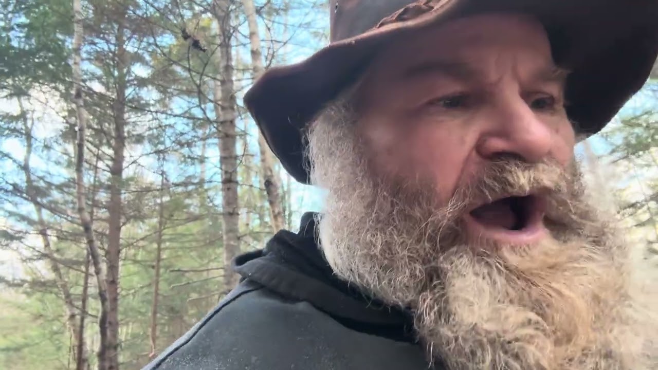 On the hunt for domer poles