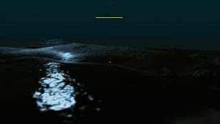 Stranded Deep Boar glitched and flew
